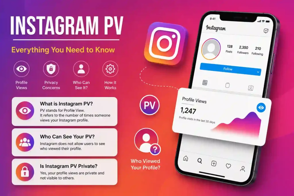 Instagram PV: Complete Guide to Meaning, Usage, and Privacy instagram pv image